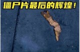《僵尸七日重生：在线免费观看精彩影片合集》