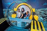 《海洋探秘：畅游海底世界的电影国语版在线看》