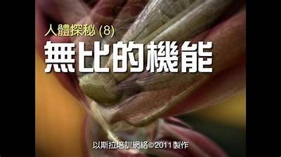 探索人体的奥秘：结构、功能与健康的综合解析