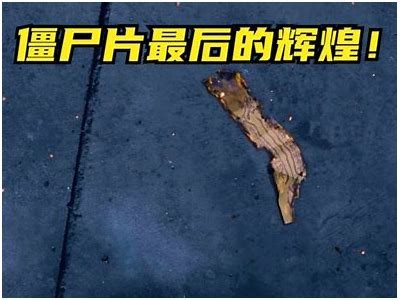 《僵尸七日重生：在线免费观看精彩影片合集》