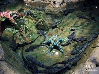 《海洋探秘：畅游海底世界的电影国语版在线看》